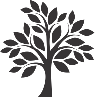 Reserve at Cary Park